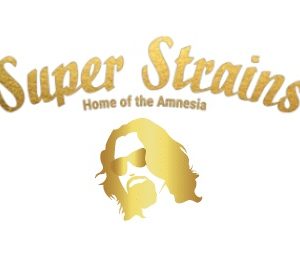 super strains #gg4 (gorilla glue)