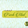Encens-Goloka-Fresh-mint