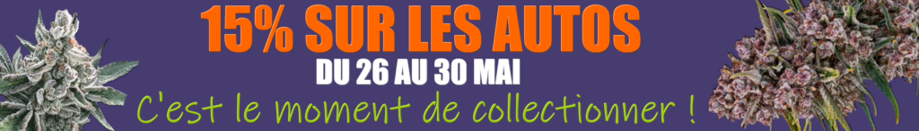 15% sur les graines Auto du 26 au 30 mai 2026